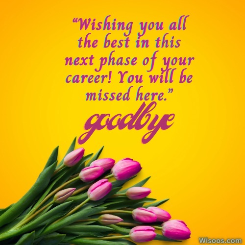 Farewell Wishes for Colleagues