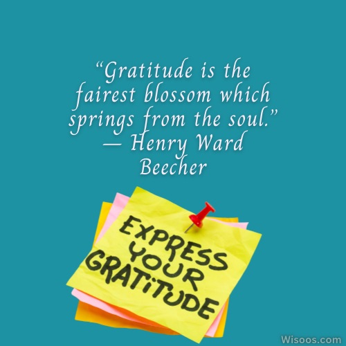 Heartfelt Thank You Messages and Quotes: Expressing Gratitude
