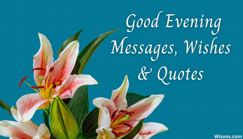 Good Evening Messages, Wishes & Quotes