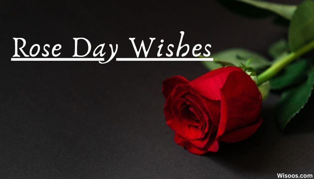 Rose day wishes - valentines day
